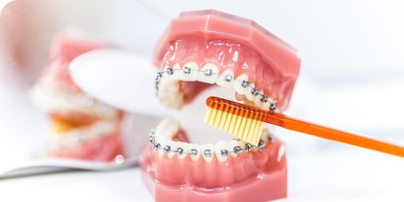 Dr Quentin Boison orthodontiste brossage dents appareil dentaire Labenne